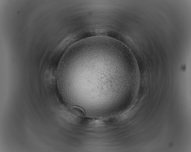 X0000093140140200709261432