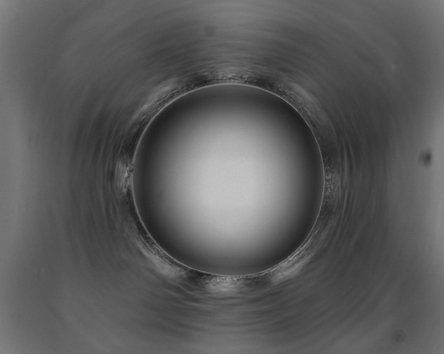 X0000093140142200709261432