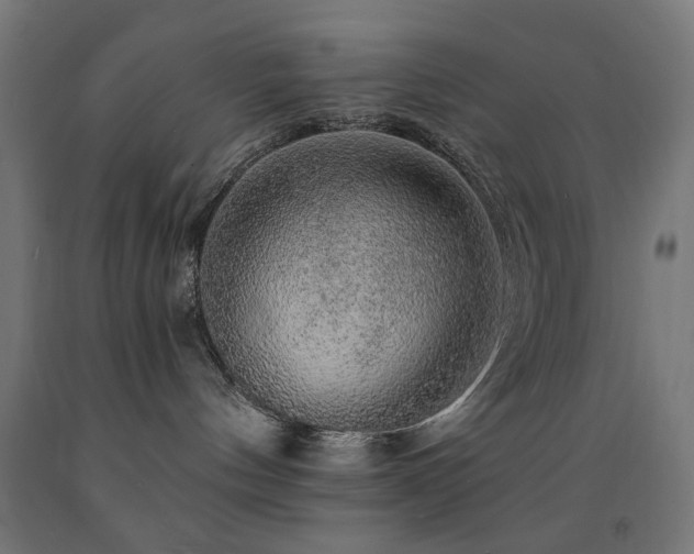 X0000093140144200709261432