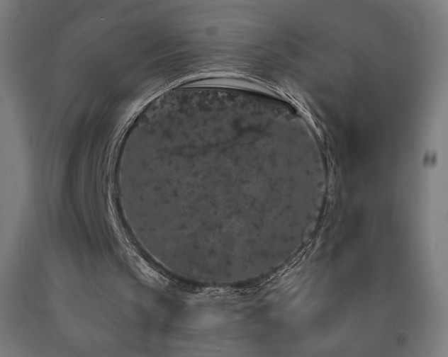 X0000093140145200709261431