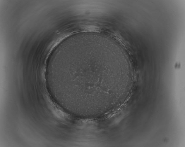 X0000093140146200709261431