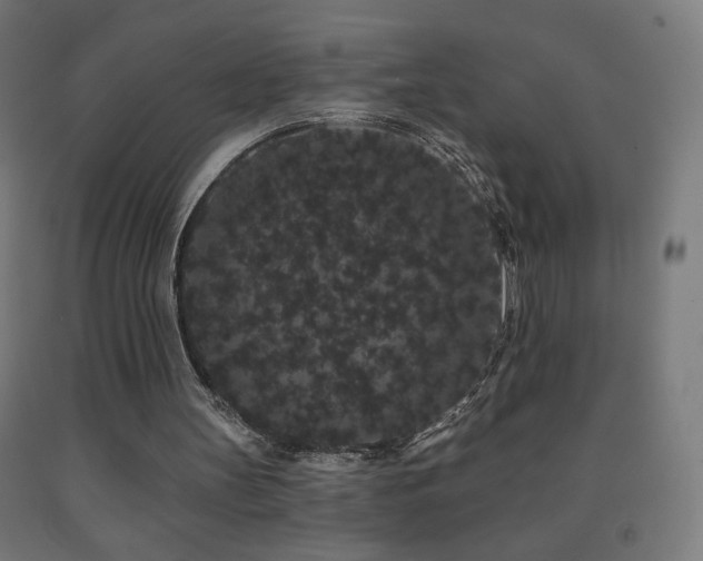 X0000093140147200709261431