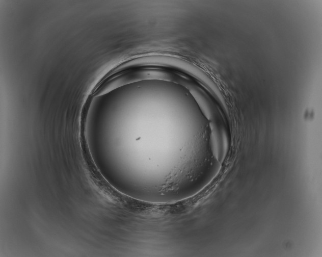 X0000093140148200709261431