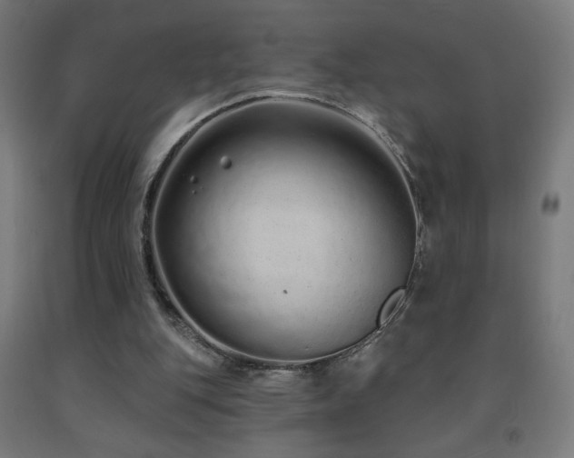 X0000093140151200709261431