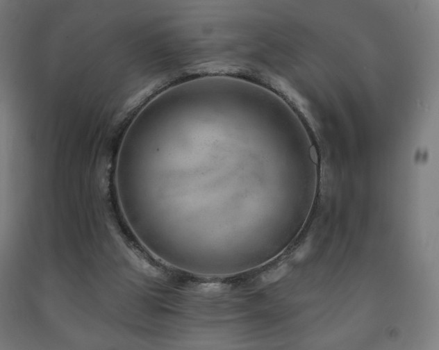 X0000093140153200709261431