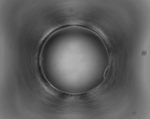 X0000093140155200709261431