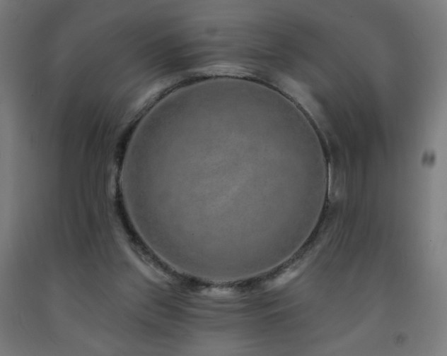 X0000093140157200709261431