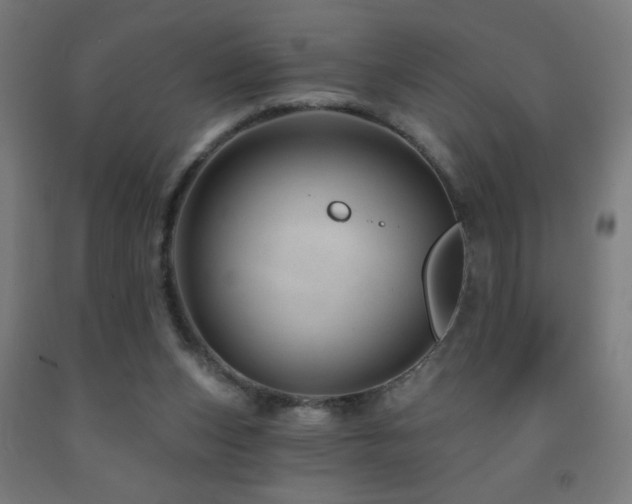 X0000093140159200709261431