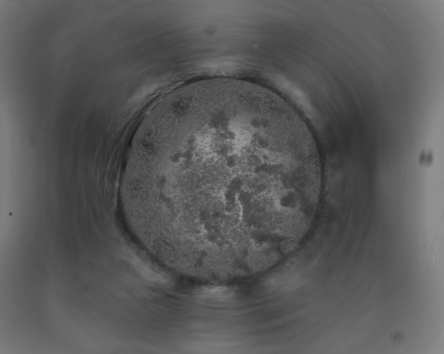 X0000093140161200709261431