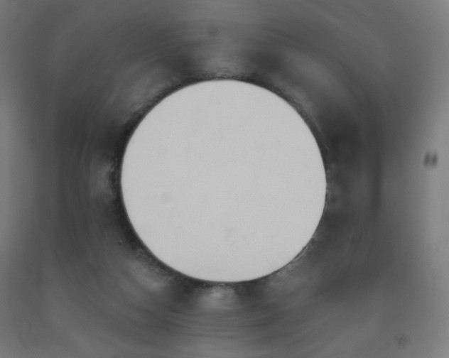 X0000093140162200709261431