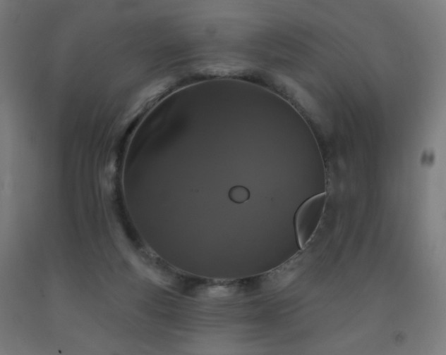 X0000093140163200709261431