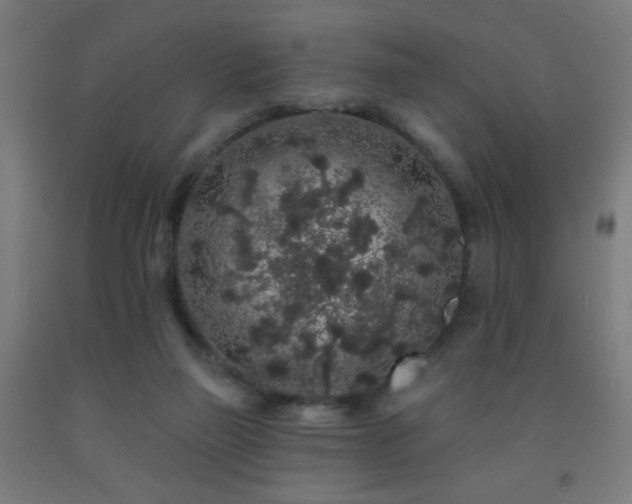 X0000093140165200709261431