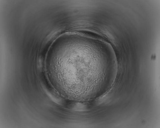 X0000093140166200709261431