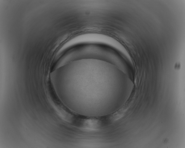 X0000093140168200709261431