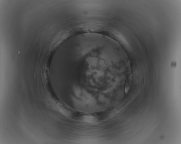 X0000093140169200709261431