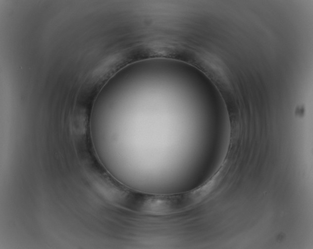 X0000093140174200709261432