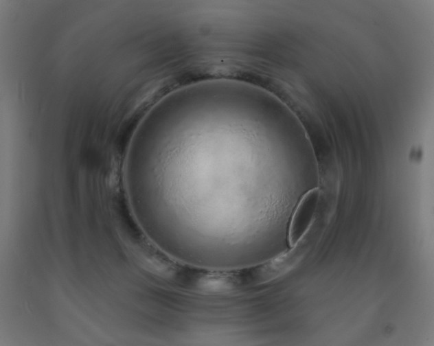 X0000093140175200709261432