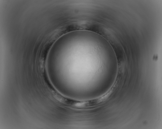 X0000093140178200709261432