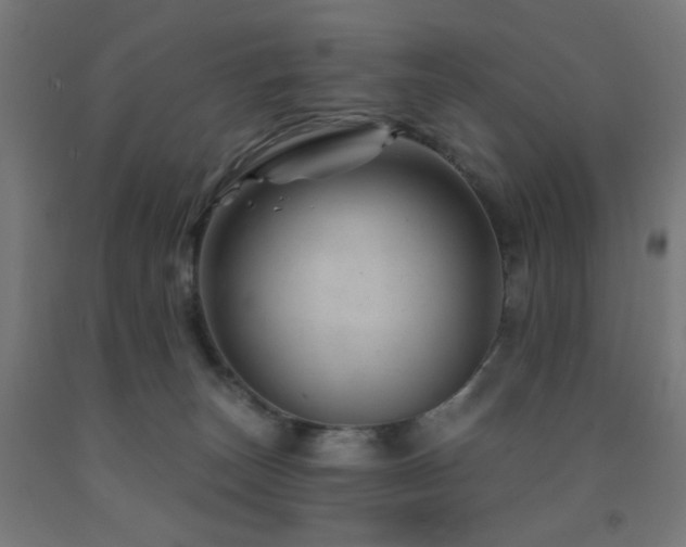 X0000093140179200709261432