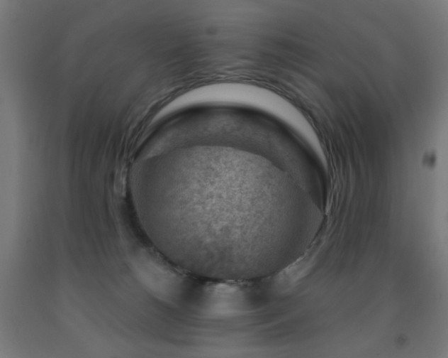 X0000093140180200709261432