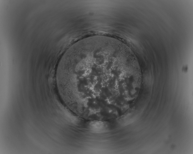X0000093140181200709261432