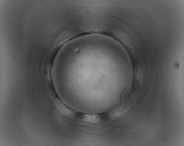 X0000093140185200709261432