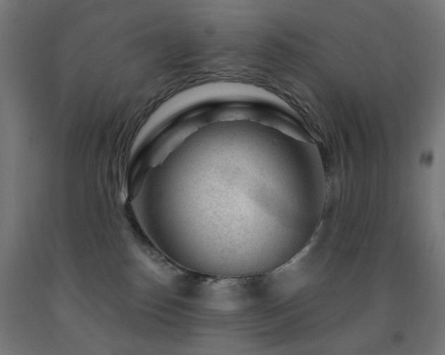 X0000093140186200709261432