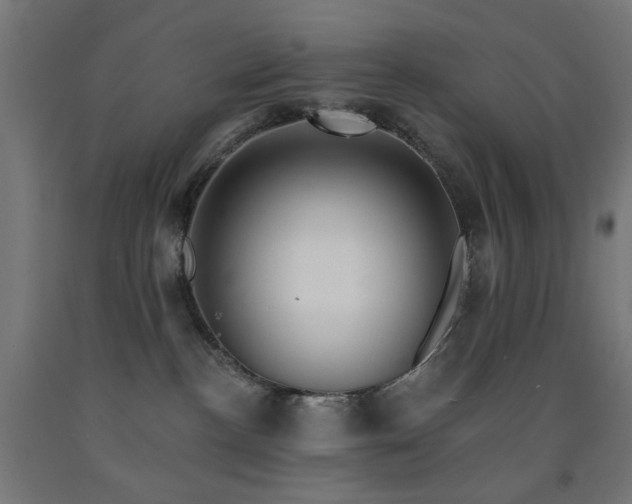 X0000093140188200709261432