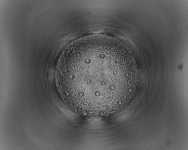 X0000093140189200709261432