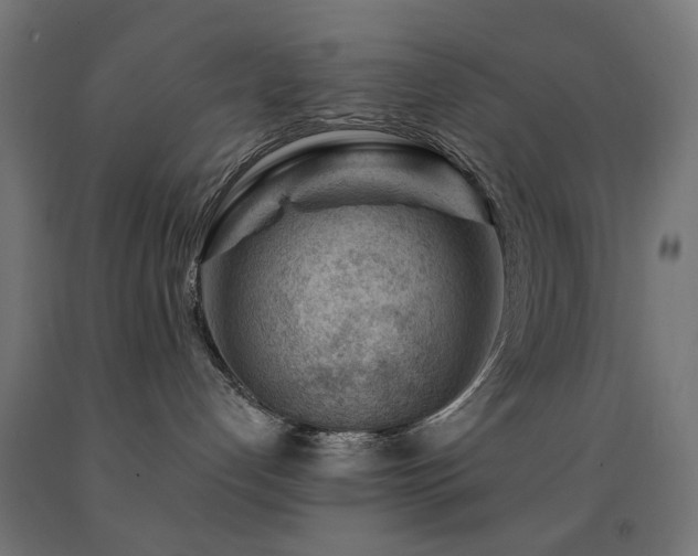 X0000093140192200709261432