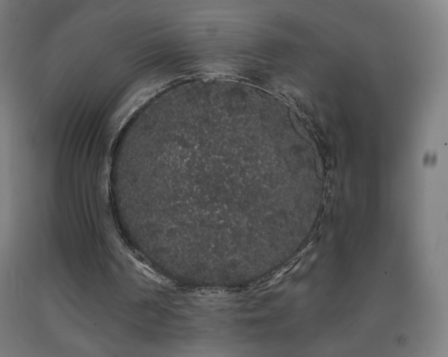 X0000093140194200709261431