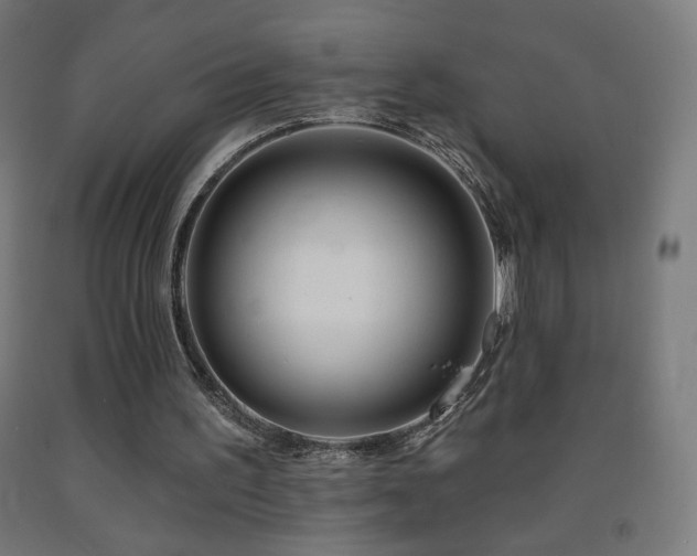 X0000093140195200709261431