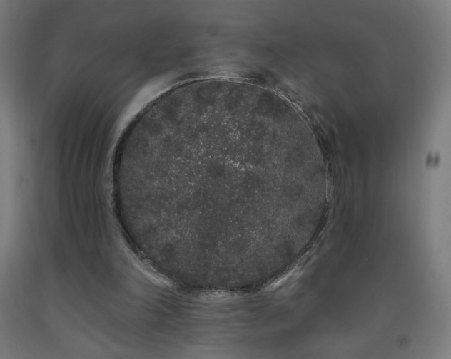 X0000093140198200709261431