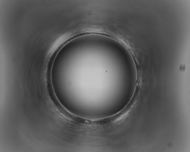 X0000093140199200709261431