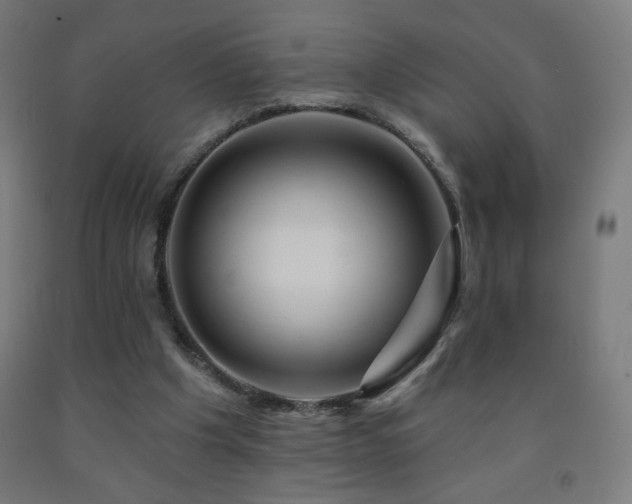 X0000093140201200709261431