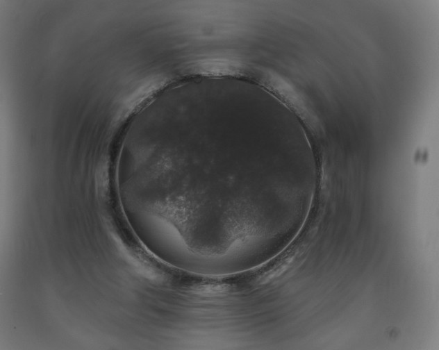 X0000093140202200709261431