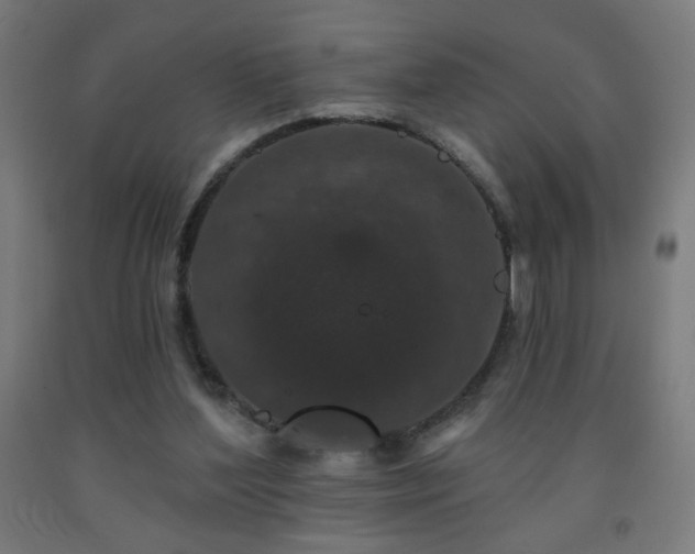 X0000093140204200709261431