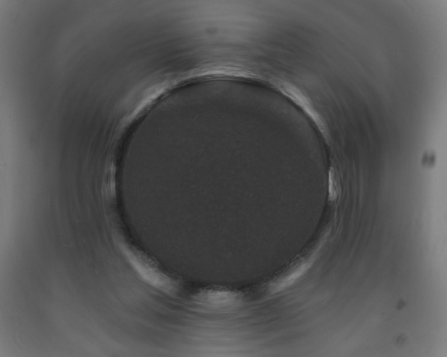 X0000093140205200709261431