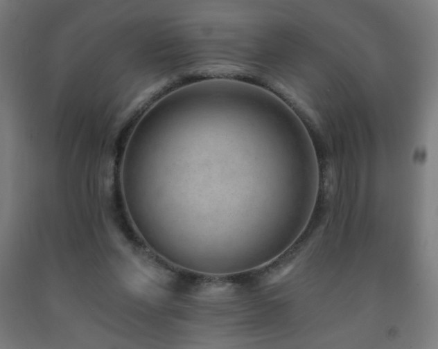 X0000093140206200709261431