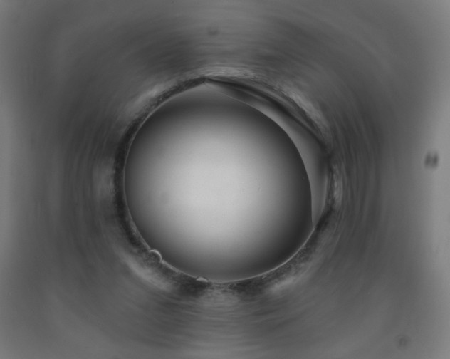 X0000093140207200709261431