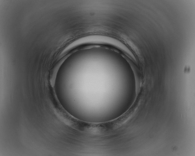 X0000093140209200709261431
