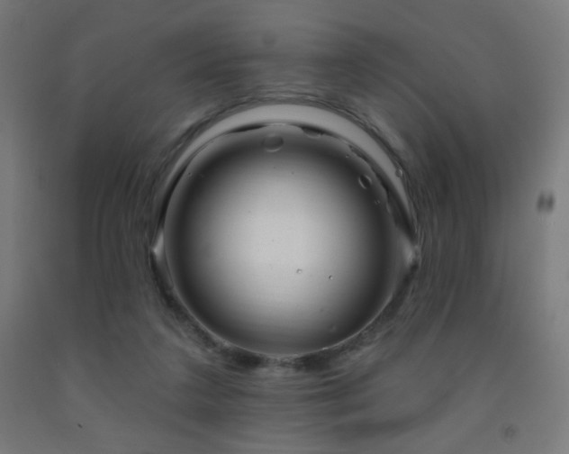 X0000093140211200709261431