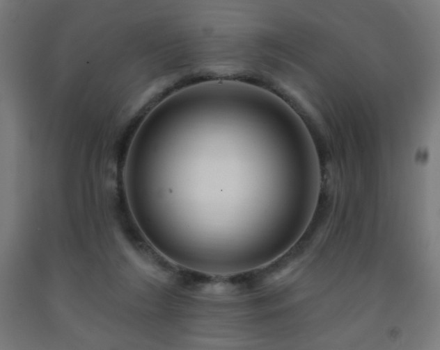 X0000093140212200709261431