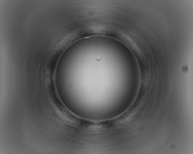 X0000093140213200709261431