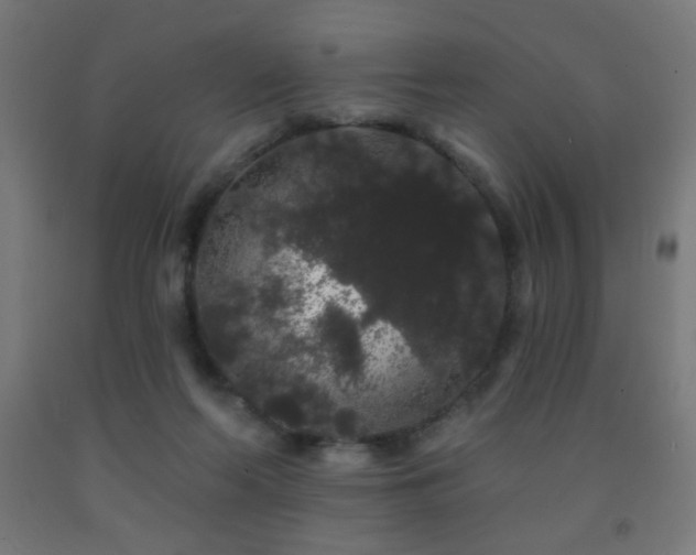 X0000093140214200709261431