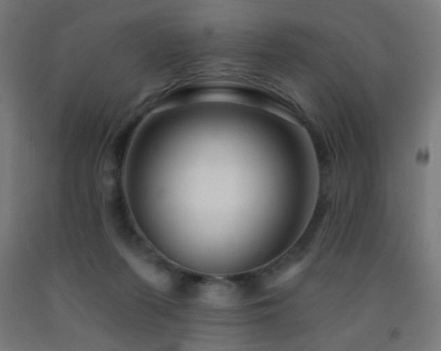 X0000093140215200709261431