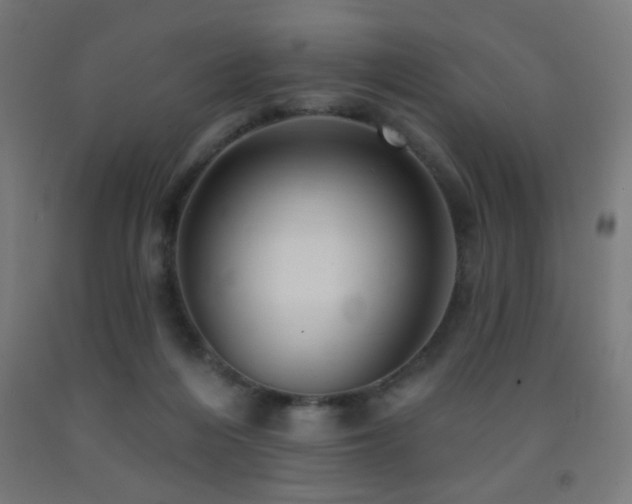 X0000093140216200709261431