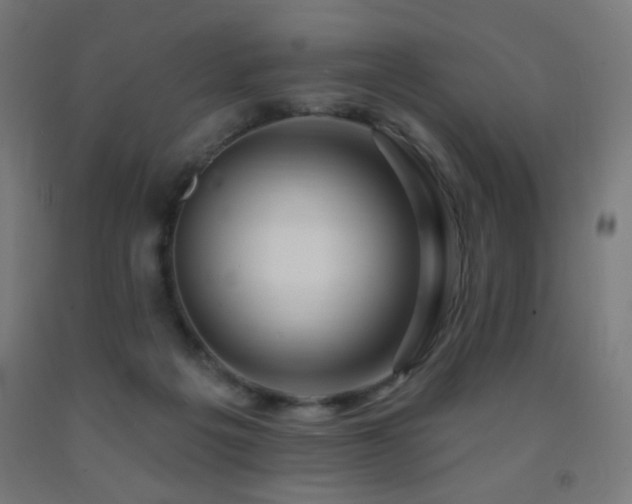 X0000093140217200709261431