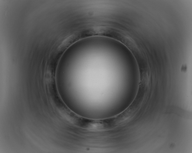 X0000093140220200709261431