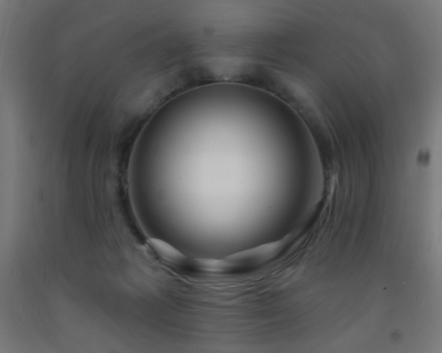 X0000093140221200709261431